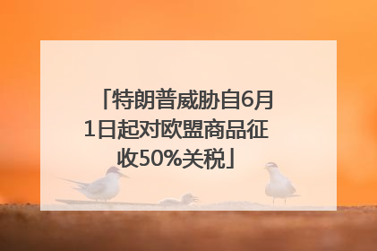 特朗普威胁自6月1日起对欧盟商品征收50%关税